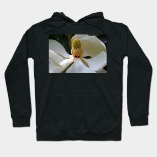 Inner Beauty Hoodie